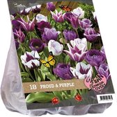 Plantenwinkel Urban Flowers Proud and Purple bloembollen per 18 stuks