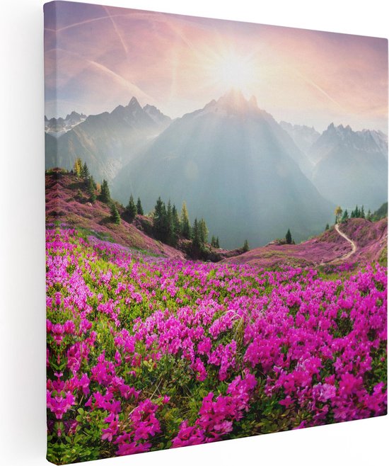 Artaza Canvas Schilderij Rhododendron Bloemenveld In De Alpen - 50x50 - Foto Op Canvas - Canvas Print