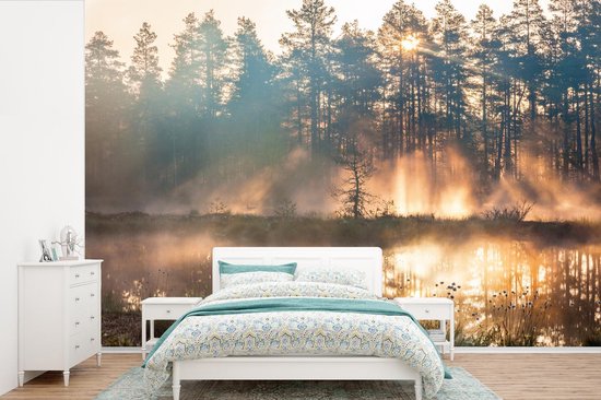 Papier peint - Papier peint photo Plus - Soleil - Arbre - Largeur 330 cm x hauteur 220 cm