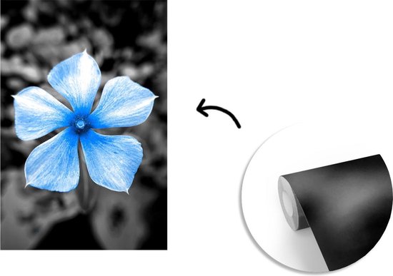 Papier peint - Papiers Papier peint photo Fleurs - Blauw - Zwart - Wit - Largeur 225 cm x hauteur 350 cm