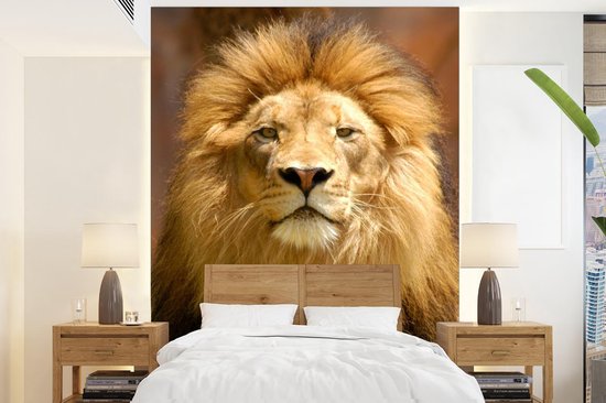 Papier peint - Papier peint photo Lion - Marron - Portrait - Largeur 205 cm x hauteur 280 cm