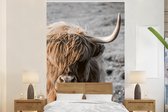 Behang - Fotobehang Schotse hooglander - Dier - Zon - Breedte 180 cm x hoogte 280 cm