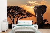 Behang - Fotobehang Olifant - Boom - Afrika - Breedte 330 cm x hoogte 220 cm