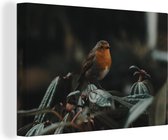 Tableau sur toile Vogel - Rouge-gorge - Plante - 90x60 cm - Décoration murale