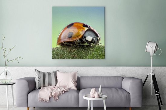 Tableau sur toile Coccinelle - Insectes - Animaux - 90x90 cm - Décoration murale