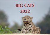 Kalender 2022 Wandkalender Big Cats | Dieren | Katachtigen | Natuur | Maand | 12 unieke beelden van een "Big Cat"