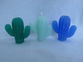 Kaars cactussen set van 3, groen appelgeur, turquoise creme douche geur, blauw oceaangeur
