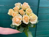 Zalmkleurige rozen | Bloemenmaker - Avalanche - rozen - zalmkleur - 10 stelen - 60 cm