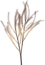 Natural Collections - Droogbloemen Artificial Pluim - zand bruin - 108 cm hoog