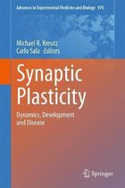 Synaptic Plasticity