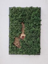Met een handgemaakt 60x40 cm Mosschilderij uit een mix van Noors Rendiermos, Platmos en Bolmos in de kleur "Springgreen" in een zwarte houten lijst haalt u een stukje verticale gro