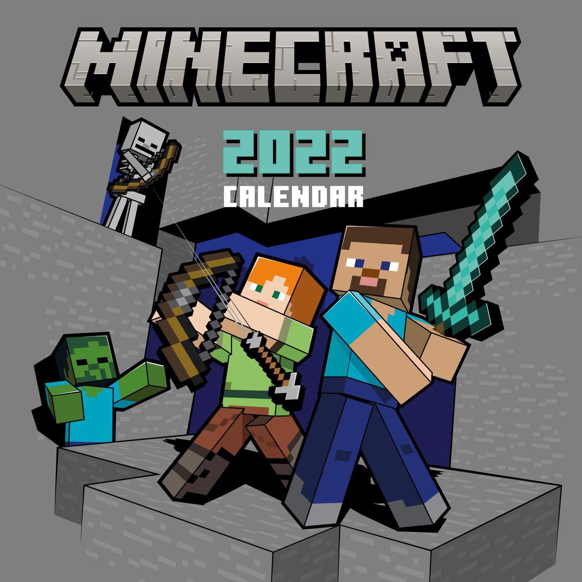 Calendrier mural 2024 Danilo - 12 mois - Minecraft - 30 x 60 cm -  Calendriers 2023 - Agendas - Calendriers