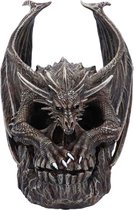 Nemesis Now Beeld  Draco Skull Bruin/Grijs