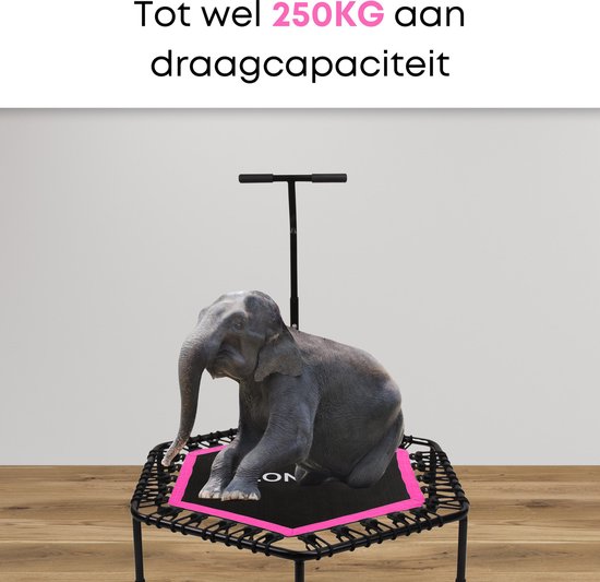 Olifant zittend op zwarte hexagonale trampoline met roze rand, met tekst "Tot wel 250KG".