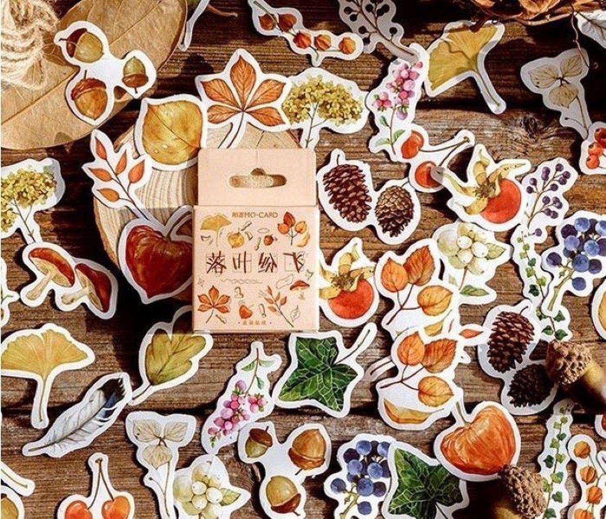 Bullet Journal Stickers – Planner Agenda Stickers – 46 Stuks – Herfst – Bladeren – Planten – Botanisch – Scrapbook stickers – Laptop stickers – Telefoon stickers – Bujo stickers – Stickers volwassenen en kinderen