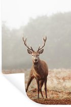 Stickers Stickers muraux - Cerf - Forêt - Brouillard - 20x30 cm - Feuille adhésive