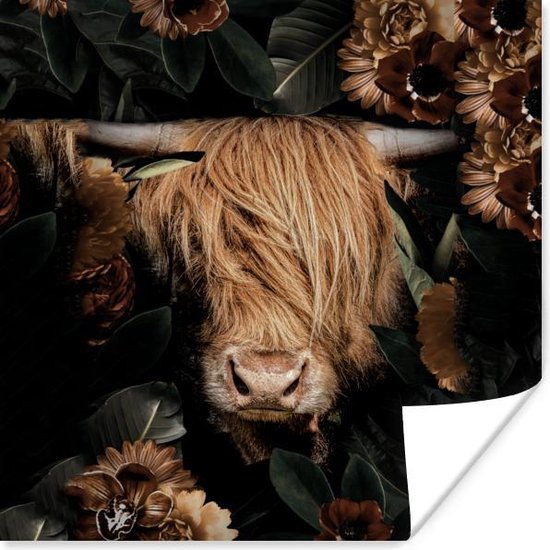 Poster Schotse hooglander - Bloemen - Bladeren - Hoorn - 75x75 cm