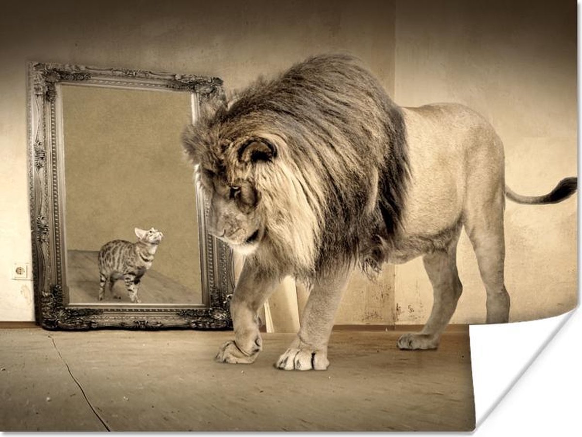 Affiche Lion - Chat - Miroir - 80x60 cm | bol.com