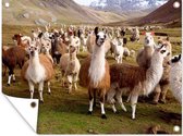 Tuinposter - Tuindoek - Tuinposters buiten - Alpaca - Lama - Peru - 120x90 cm - Tuin