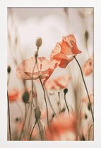 JUNIQE - Poster in houten lijst Sunkissed Flowers 1 -30x45 /Grijs &