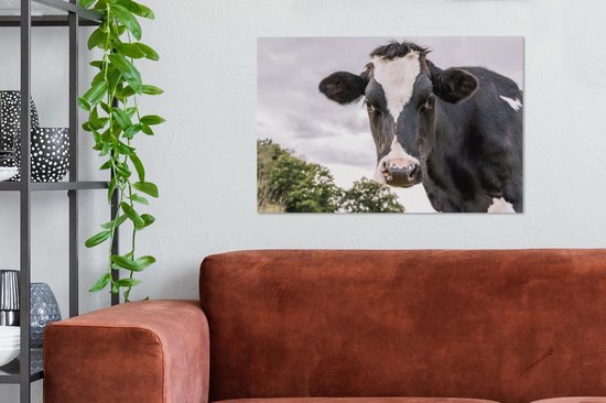 Peintures Vache - Animal - Portrait - Zwart - 90x60 cm - Décoration murale