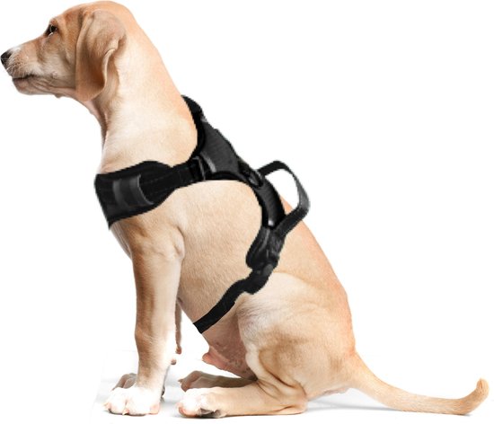 ACE Pets® Anti Trek Tuig Hond – Reflecterend Hondentuigje Hond Large – Gentle Leader Hond – Hondenharnas & Easy Walk Hondentuig – Y Tuig Hond – Maat S