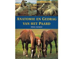 Anatomie En Gedrag Van Het Paard