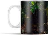 Mok - Jungle - Zon - India - 350 ml - Beker