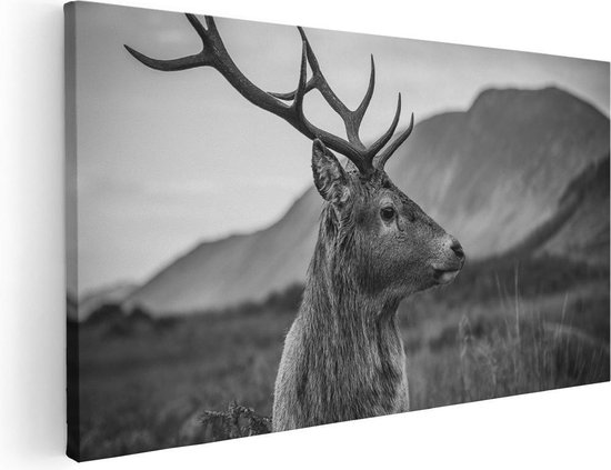 Artaza Canvas Schilderij Hertenkop - Hert - Zwart Wit - 40x20 - Klein - Foto Op Canvas - Canvas Print