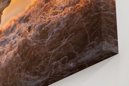 Artaza - Peinture sur toile - Cerf dans la forêt au lever du soleil - 120 x 60 - Groot - Photo sur toile - Impression sur toile