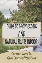 Guide To Grow Exotic And Natural Fruits Indoors: Creative Ways To Grow Fruits In Your Home