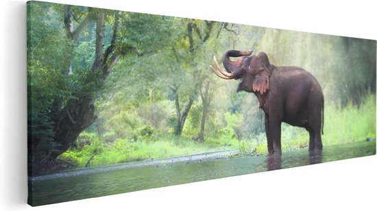 Artaza Canvas Schilderij Vrolijke Olifant In Het Water - 60x20 - Foto Op Canvas - Canvas Print