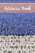 Address Book.