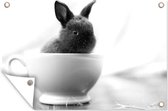 Tuinposter - Tuindoek - Tuinposters buiten - Baby konijn in een theekop - zwart wit - 120x80 cm - Tuin
