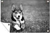 Tuinposter - Tuindoek - Tuinposters buiten - Rennende hond - zwart wit - 120x80 cm - Tuin
