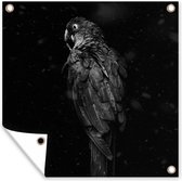 Tuindoek Achterkant van een gouden papegaai op een zwarte achtergrond - zwart wit - 100x100 cm