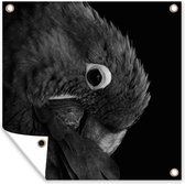 Tuindoek Close-up van een kleurrijke papegaai - zwart wit - 100x100 cm