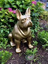 Franse Buldog zit goudkleur 80 cm hoog - polyester - polyresin - polystone - hoogkwalitatieve kunststof - decoratiefiguur - interieur - accessoire - voor binnen - cadeau - geschenk