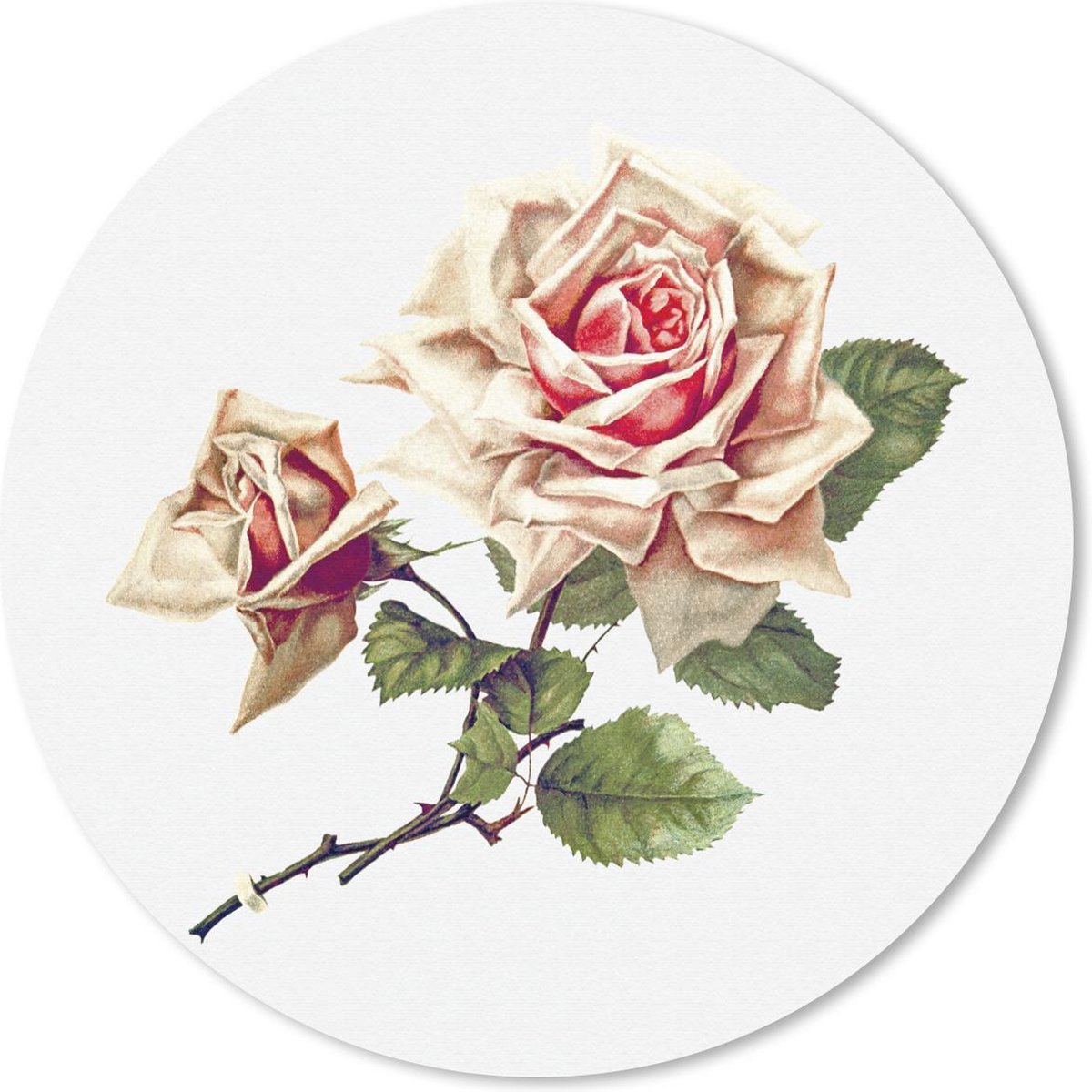 Muismat rond 30x30 cm - Mousepad Vintage - Rozen - Bloemen - Ronde muismatten
