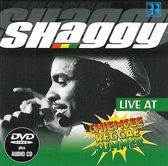 Shaggy- Live [DVD] CD