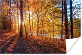 Herfstzon schijnt op de bladeren van een bos Poster 60x40 cm - Foto print op Poster (wanddecoratie woonkamer / slaapkamer) / Zon Poster