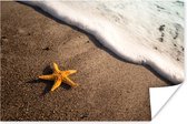 Les vagues menacent de laver l'étoile de mer jaune en Toscane Poster 60x40 cm - Tirage photo sur Poster (décoration murale salon / chambre) / Affiche Pêche / Mer et plage