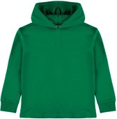 Name It Nes Trui - Unisex - Groen