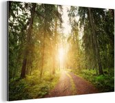 Décoration murale Métal - Aluminium - Forêt - Arbre - Soleil - 120x80 cm