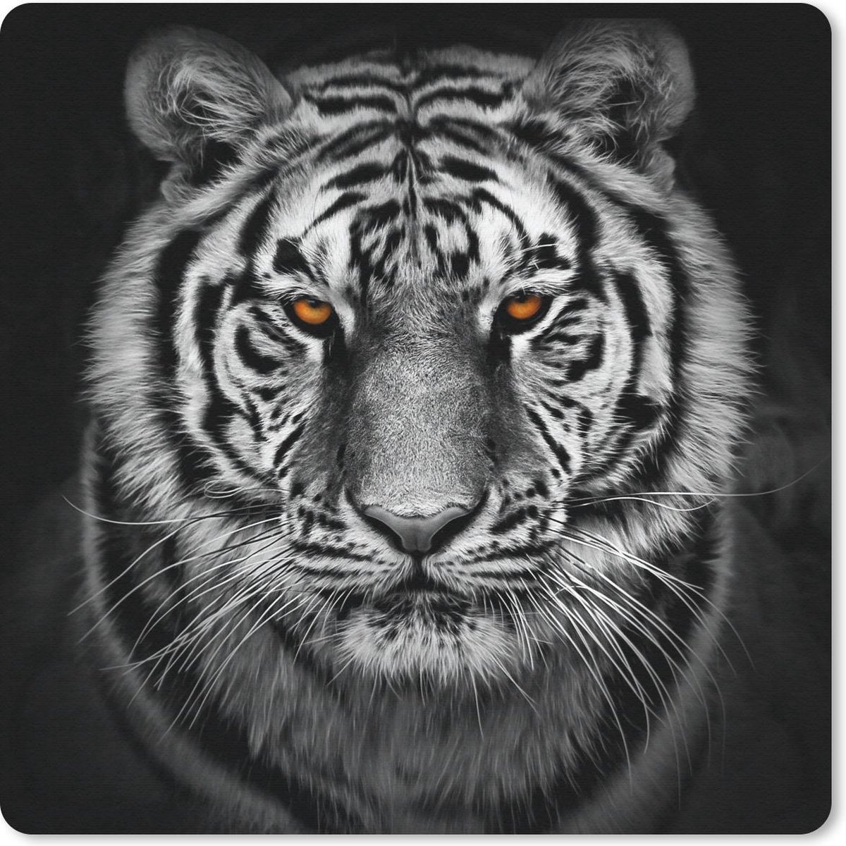 Muismat 20x20 cm - Mousepad Tijger - Oranje - Zwart - Wit - Muismatten