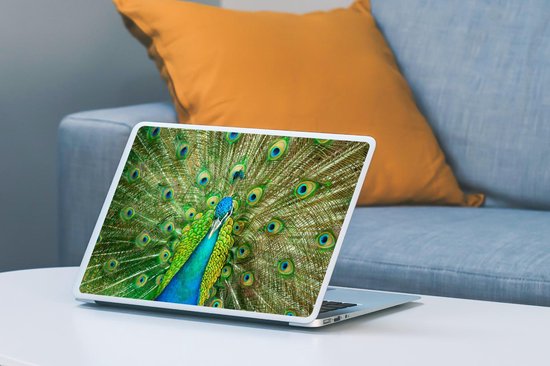 Autocollant pour ordinateur portable - 11,6 pouces - Gros plan - Paon - Inde - 30x21cm - Autocollants pour ordinateur portable - Skin pour ordinateur portable - Housse