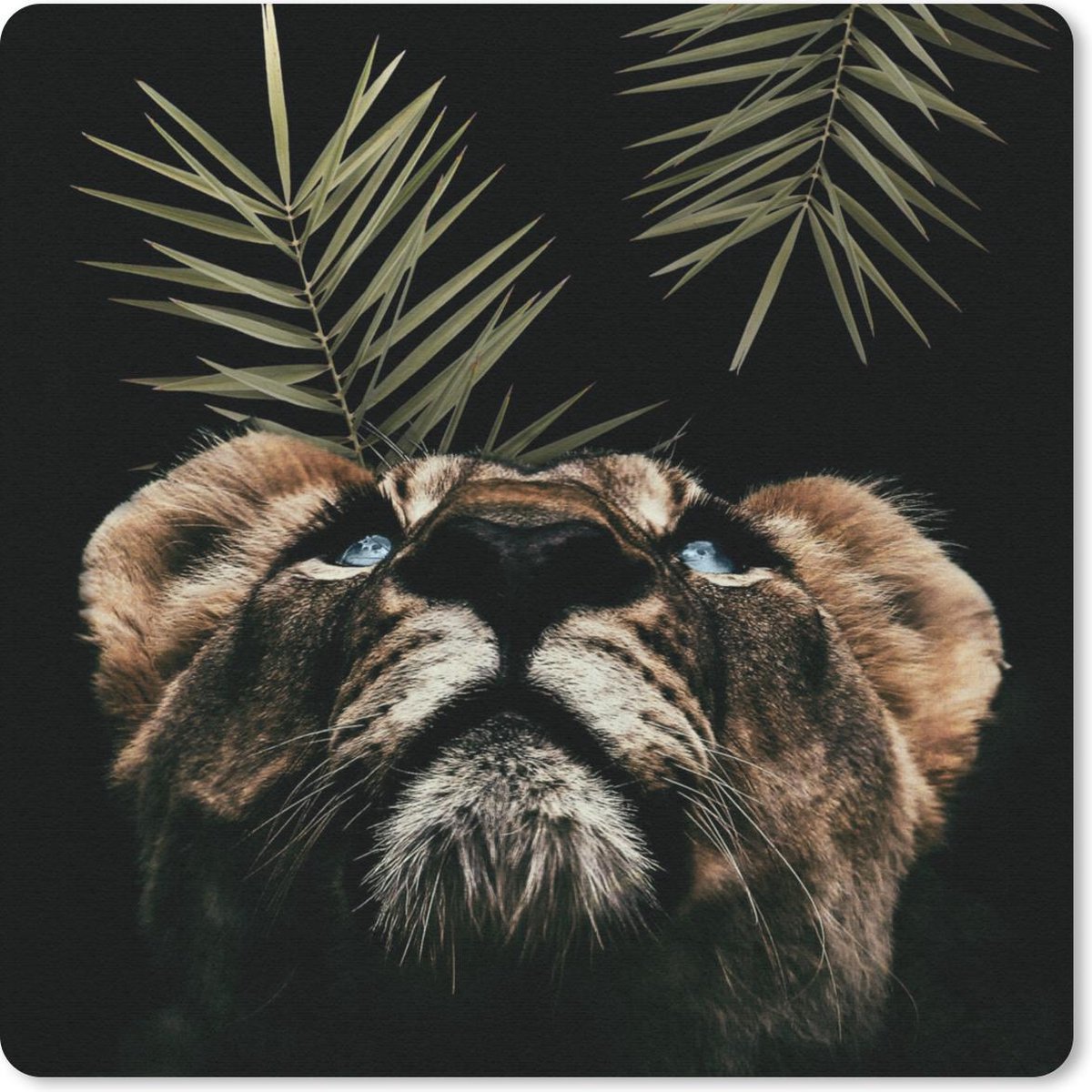 Muismat 30x30 cm - Mousepad Tijger - Varen - Zwart - Muismatten