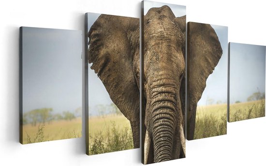 Artaza Toile Peinture Pentaptyque Elephant In The Wild - Couleur - 100x50 - Photo sur Toile - Impression sur Toile