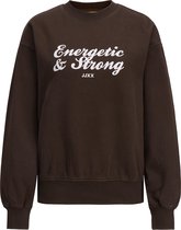 JJXX JXBEATRICE LS LOOSE VINT SWEAT Dames Trui - Maat M