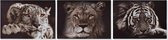 Schilderij DKD Home Decor Tiger Dier (70 x 1.8 x 50 cm)